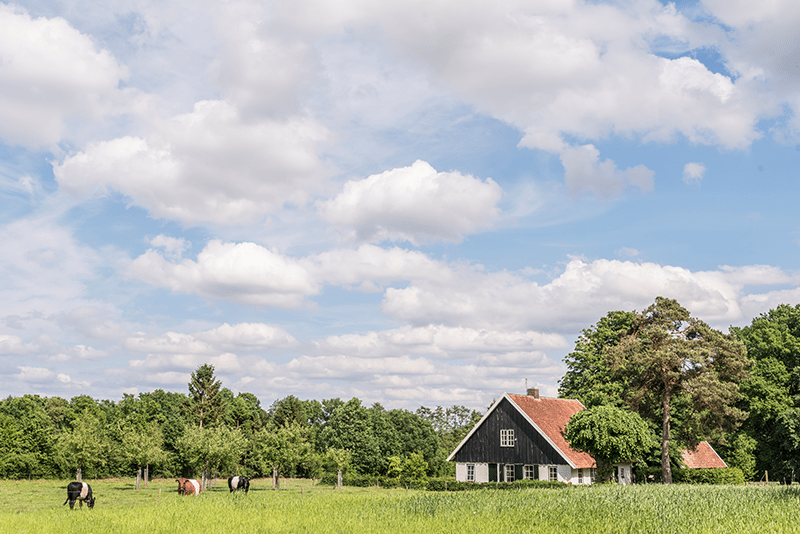 gezondheid-dichtbij-boerderij